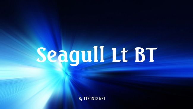 Seagull Lt BT example