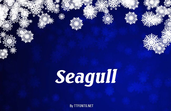 Seagull example