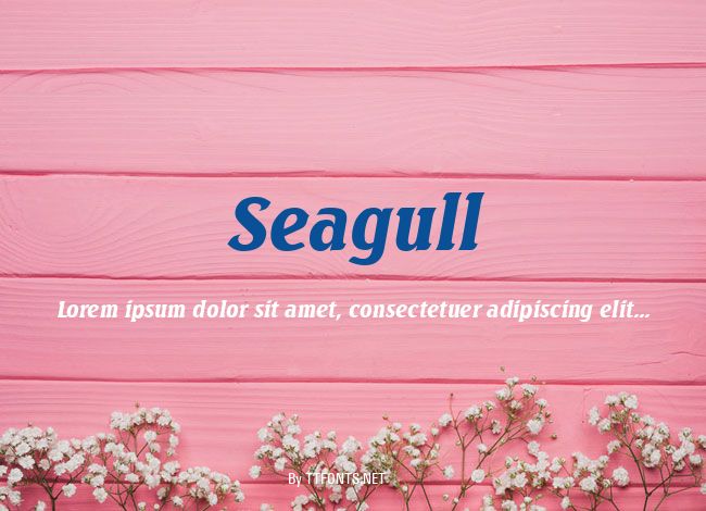 Seagull example