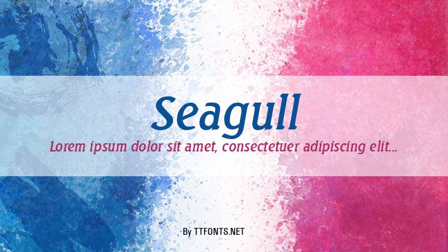 Seagull example