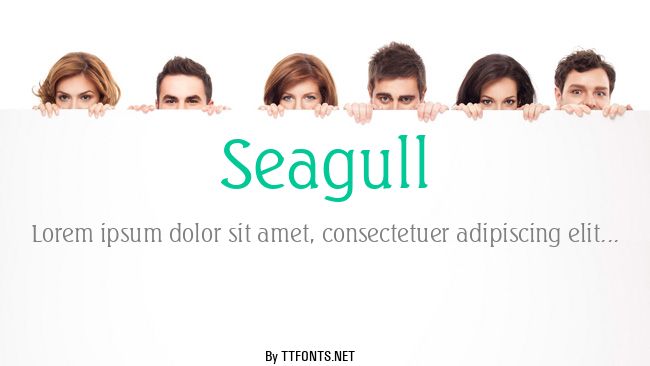 Seagull example