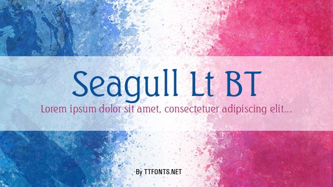 Seagull Lt BT example