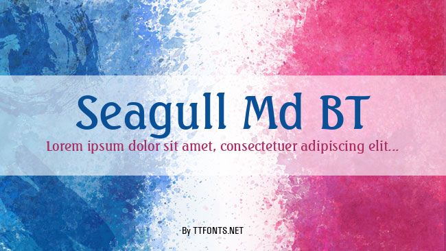 Seagull Md BT example