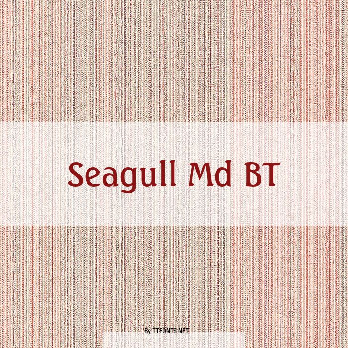 Seagull Md BT example