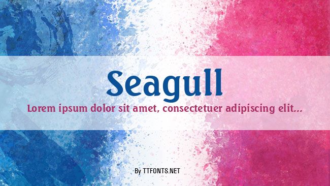 Seagull example