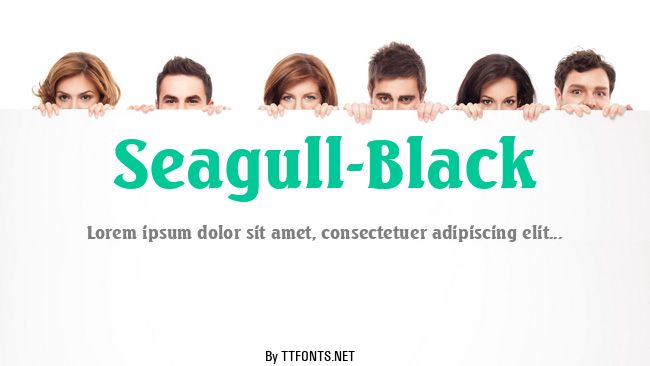 Seagull-Black example