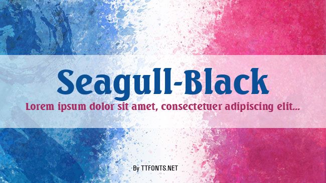 Seagull-Black example