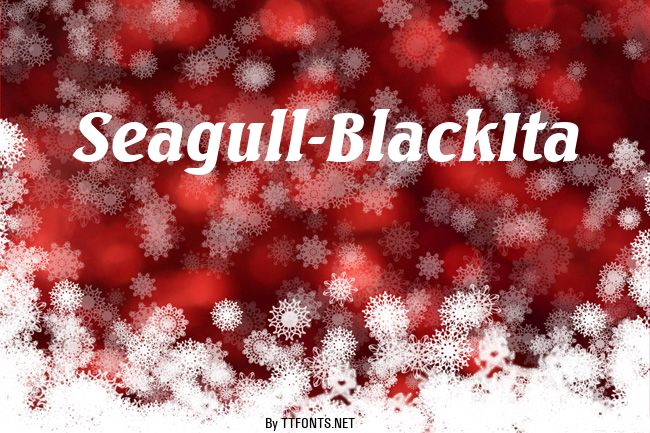 Seagull-BlackIta example