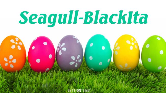 Seagull-BlackIta example
