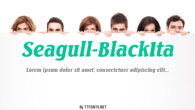 Seagull-BlackIta example