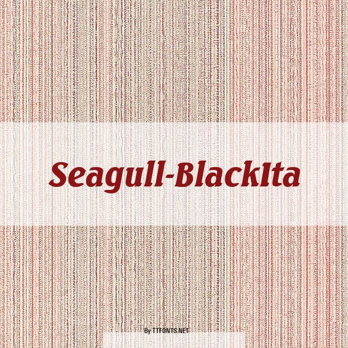Seagull-BlackIta example