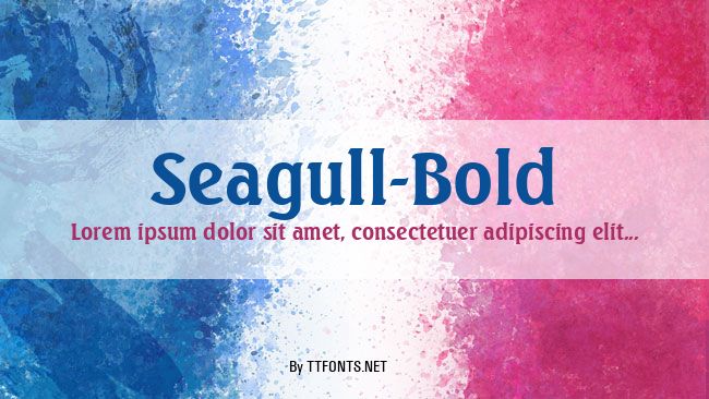 Seagull-Bold example