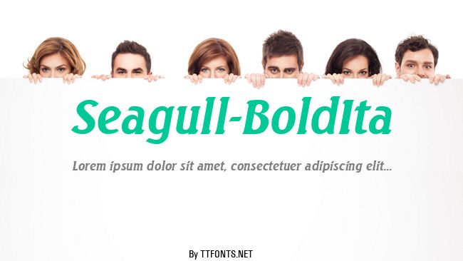 Seagull-BoldIta example