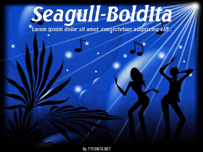 Seagull-BoldIta example