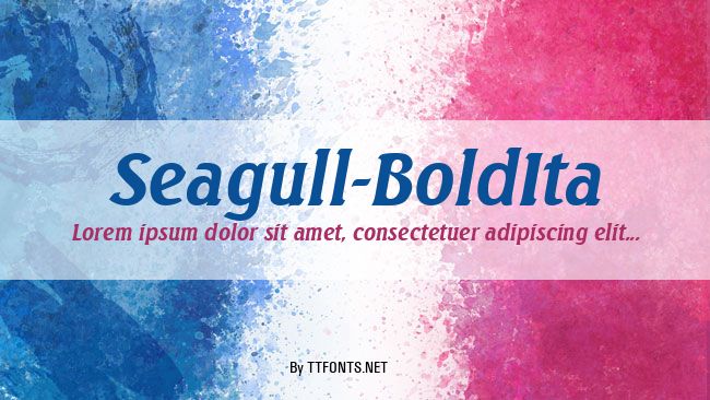 Seagull-BoldIta example