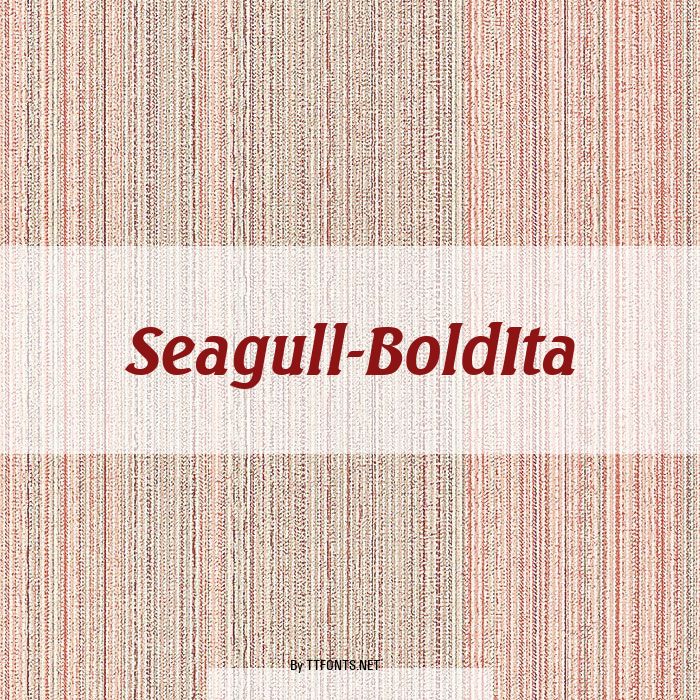 Seagull-BoldIta example