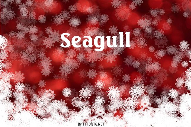 Seagull example