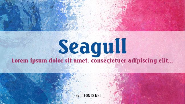Seagull example