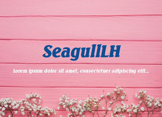 SeagullLH example