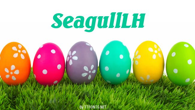 SeagullLH example