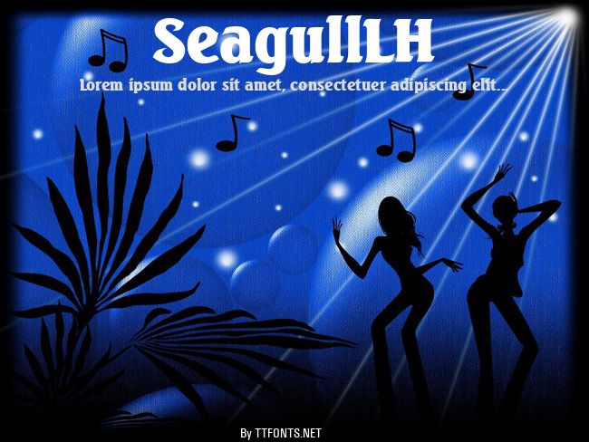 SeagullLH example