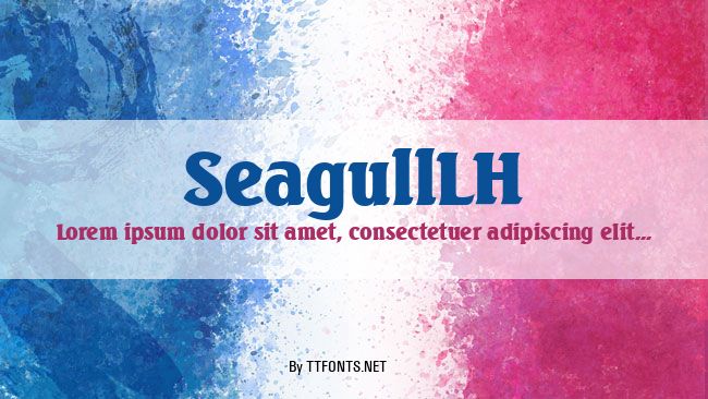 SeagullLH example