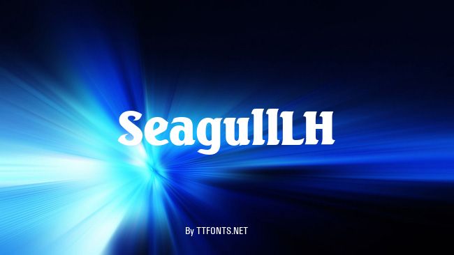 SeagullLH example
