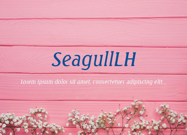 SeagullLH example