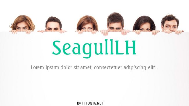 SeagullLH example