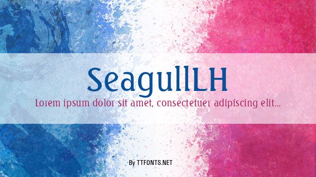 SeagullLH example