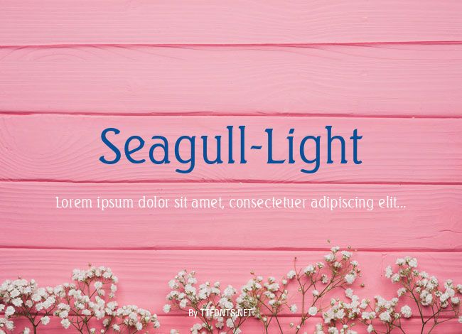 Seagull-Light example