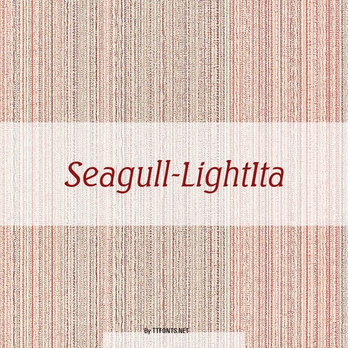 Seagull-LightIta example