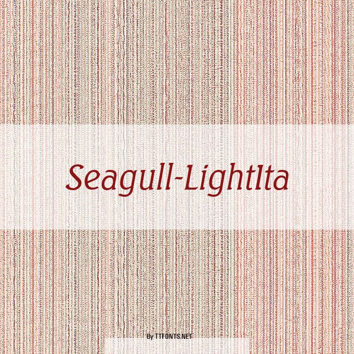 Seagull-LightIta example