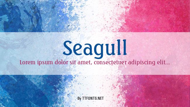 Seagull example