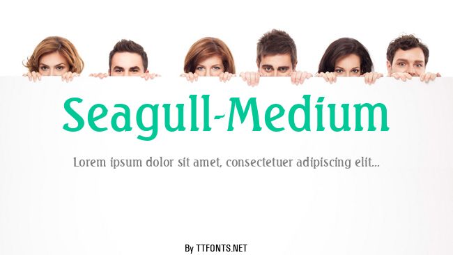 Seagull-Medium example