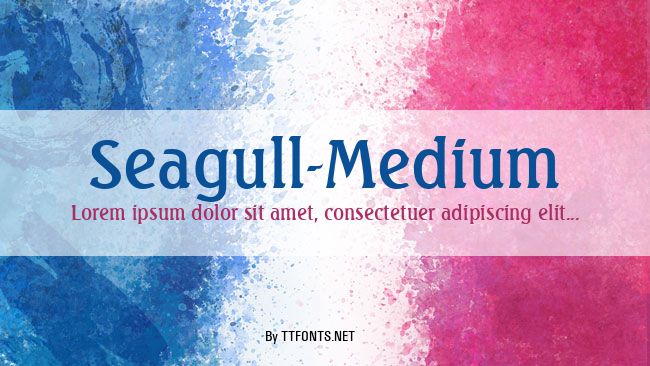 Seagull-Medium example