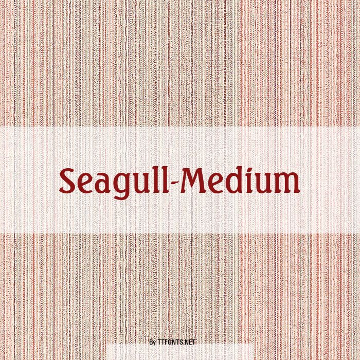 Seagull-Medium example