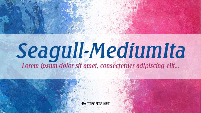 Seagull-MediumIta example