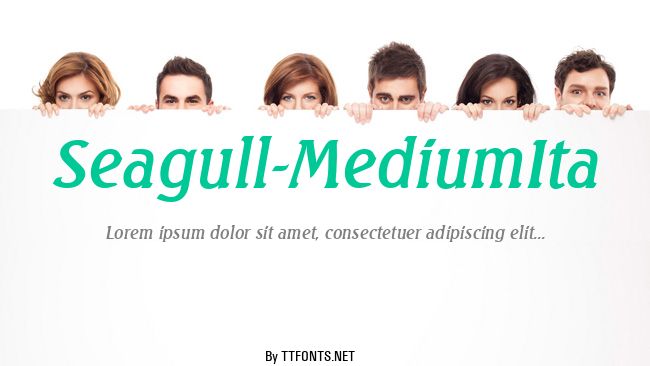Seagull-MediumIta example