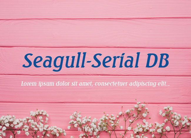 Seagull-Serial DB example