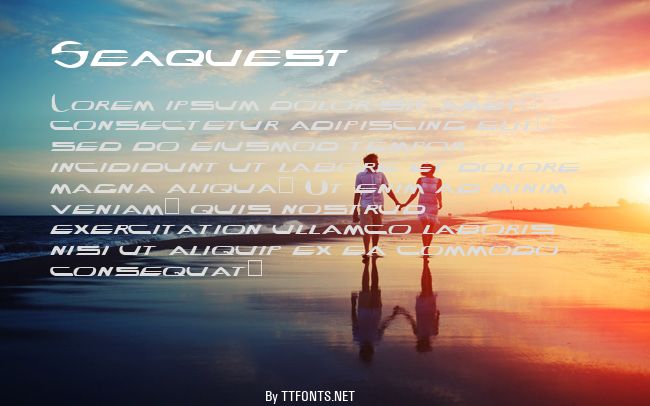 Seaquest example