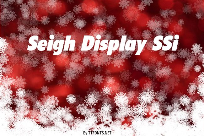 Seigh Display SSi example