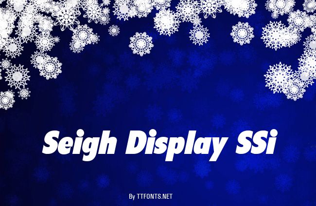 Seigh Display SSi example