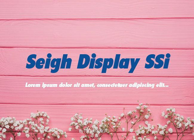 Seigh Display SSi example
