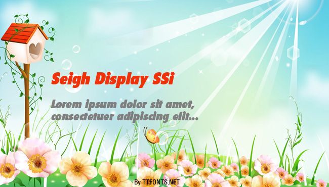 Seigh Display SSi example