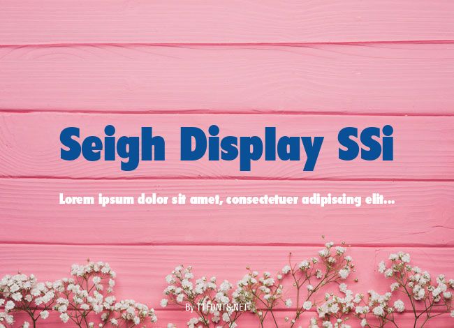 Seigh Display SSi example