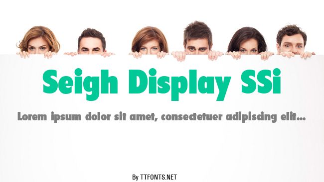 Seigh Display SSi example