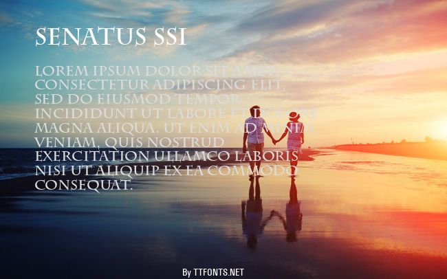 Senatus SSi example