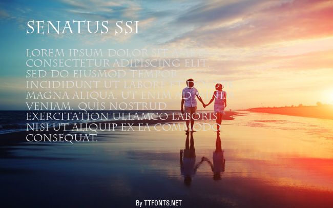 Senatus SSi example