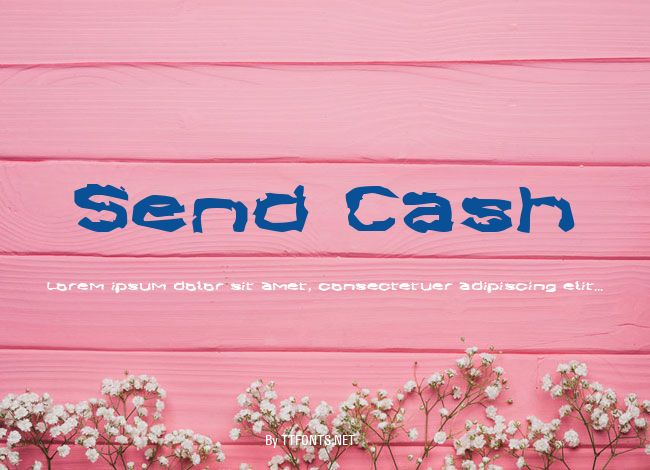 Send Cash example